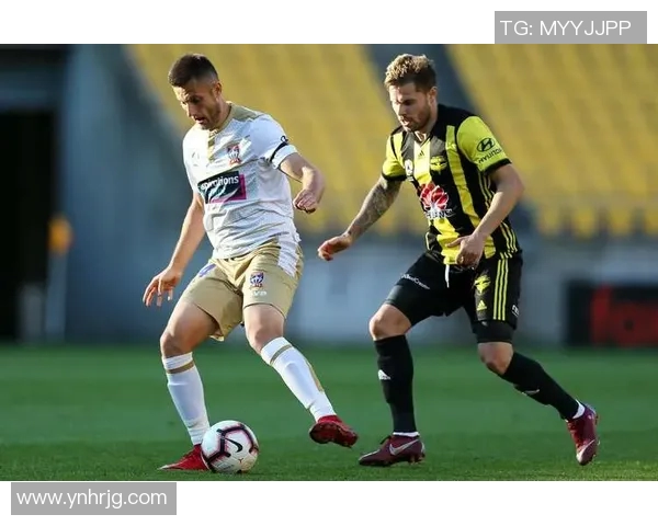 中央海岸水手迎战惠灵顿凤凰力争主场胜利展现实力与团队精神