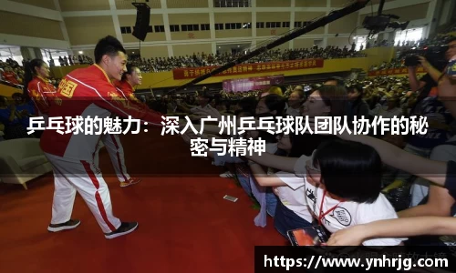 乒乓球的魅力：深入广州乒乓球队团队协作的秘密与精神