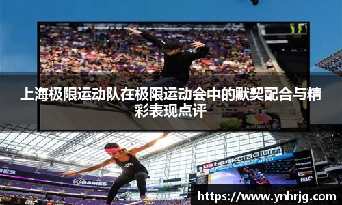 V体育网页版入口